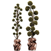 Modern Pine Topiary Set