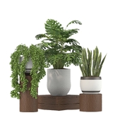 Plant Set 02