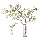 Branches with leaves