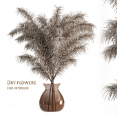 Dry flowers