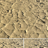 Desert Floor Cracks