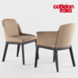 Cattelan Italia Musa Chair - Стулья - 3D модель - фото 2