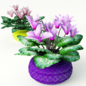 Цикломены - Комнатные - 3D модель