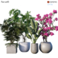 Plant set # 9 - Комнатные - 3D модель