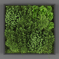 Vertical garden 109 - Фитостены - 3D модель