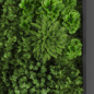 Vertical garden 109 - Фитостены - 3D модель - фото 2