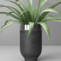 indoor and outdoor spider plant - Комнатные - 3D модель - фото 2