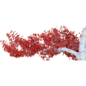 Mini Red Maple - Комнатные - 3D модель - фото 2
