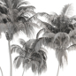 Four Size Green Palm Tree - Set 185 - Деревья - 3D модель - фото 7