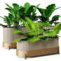 Planter set 2 - Комнатные - 3D модель
