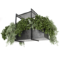 Indoor Hanging Plants in Metal Box - Set 202 - Комнатные - 3D модель - фото 6