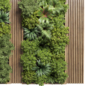 Fitowall Wood frame Vertical graden wall decor bax - Фитостены - 3D модель - фото 5