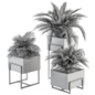 indoor Plant Set 318 - Plant Set in Wood Box - Комнатные - 3D модель - фото 5