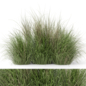 Outdoor Plants Bush -Bush Set 371 - Трава - 3D модель