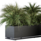 Plant Box Tropical Plants - Outdoor Plants Set 371 - Уличные - 3D модель - фото 3
