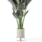 Indoor Plants in Ferm Living Bau Pot Large - Set 555 - Комнатные - 3D модель - фото 4