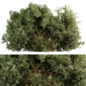 Mixed Plant Bush - Bush Set with needle and bamboo 72 - Кусты - 3D модель