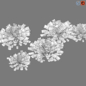 Marchantia polymorpha - Уличные - 3D модель - фото 3