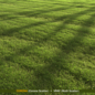 Lawn landscape - Трава - 3D модель
