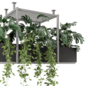 Indoor Hanging Plants in Metal Box - Set 1132 - Комнатные - 3D модель - фото 4