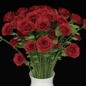 a bouquet of roses - Букеты - 3D модель - фото 2