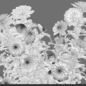 Dahlia flowers 02 - Уличные - 3D модель - фото 4