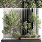 indoor plant set 19 - Комнатные - 3D модель