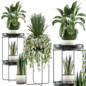Indoor plant set 05 with black pots on the stand - Комнатные - 3D модель - фото 3