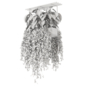 indoor hanging plants in metal box  Set 1046 - Комнатные - 3D модель - фото 5