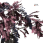 Autumn bouquet - Букеты - 3D модель - фото 5