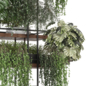 indoor hanging plants in metal box _  Set 1104 - Комнатные - 3D модель - фото 3