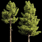 bush tree 033 - Деревья - 3D модель