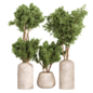 Indoor Collection plants 05 - Комнатные - 3D модель