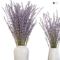 Dry flowers 11 lavender - Букеты - 3D модель - фото 2
