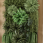 Indoor Wall  Vertical Garden in Wooden Base - Set 2053 - Фитостены - 3D модель - фото 3