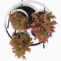 Indoor plants-Hanging plants set-28 - Комнатные - 3D модель - фото 3