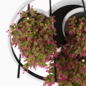 Indoor plants-Hanging plants set-28 - Комнатные - 3D модель - фото 4