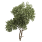 tree vol 20 - Деревья - 3D модель