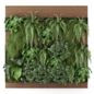 Indoor Wall  Vertical Garden in Wooden Base - Set 2438 - Фитостены - 3D модель - фото 2