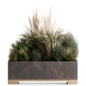 Outdoor Plants-Dry Plants Inold metal box set30 - Уличные - 3D модель - фото 2