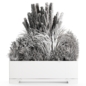 Outdoor Plants-Dry Plants Inold metal box set30 - Уличные - 3D модель - фото 4