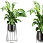 Plants set 197 - Комнатные - 3D модель
