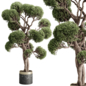 Topiary Ball Tree in a marble pot - Indoor Plant 644 - Комнатные - 3D модель
