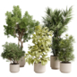 Tree Palm in a ceramics dirt vase - indoor plant set 653 - Комнатные - 3D модель