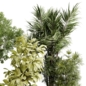 Tree Palm in a ceramics dirt vase - indoor plant set 653 - Комнатные - 3D модель - фото 4