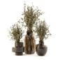 Bouquet Collection Plants in Glass Pots_Set 3077 - Букеты - 3D модель