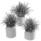 Grass Plants in a concrete pot - outdoor plant set 236 - Уличные - 3D модель - фото 6