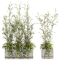 Plants Set 173 - Комнатные - 3D модель