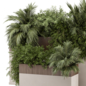 Outdoor Palm Garden Set Bush and Tree Set 3618 - Уличные - 3D модель - фото 4