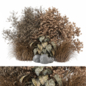 bush and tree plants 2135 - Кусты - 3D модель